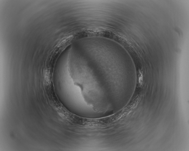 X0000113230819200909101209