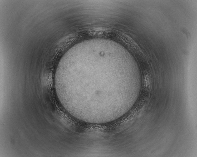 X0000113230820200909101209