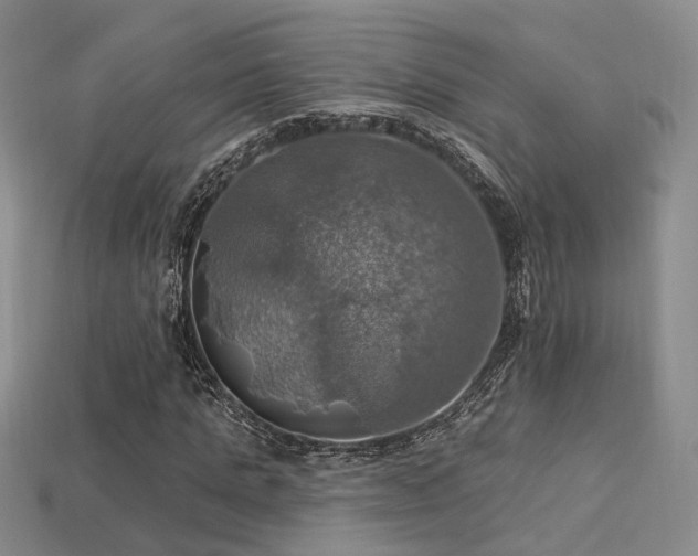 X0000113230821200909101209