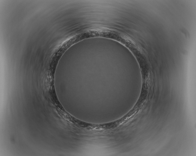 X0000113230822200909101209