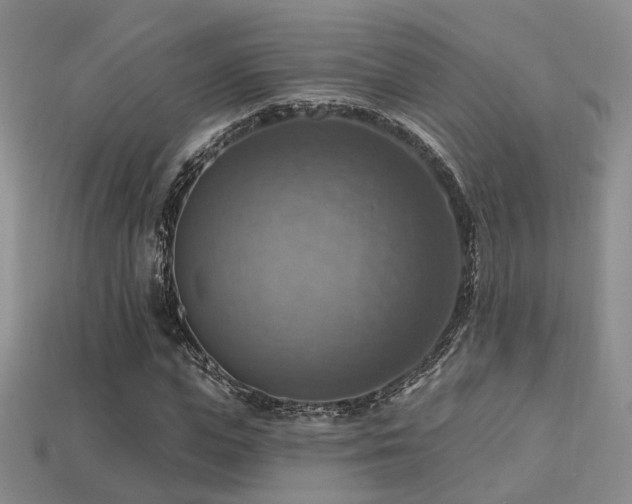 X0000113230823200909101209