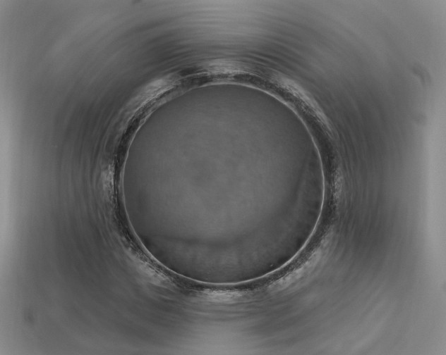 X0000113230825200909101209
