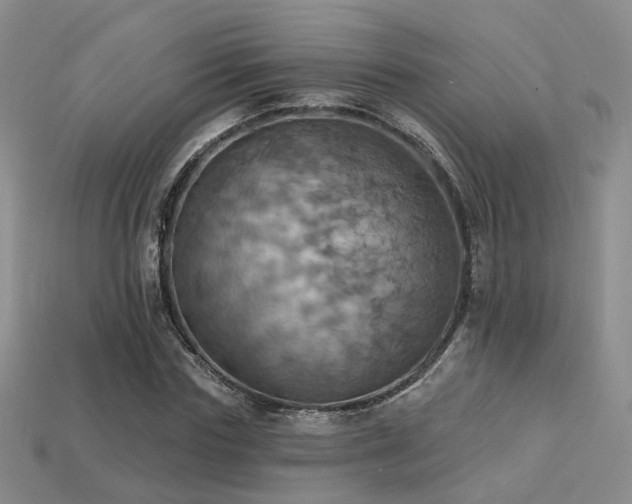 X0000113230827200909101209