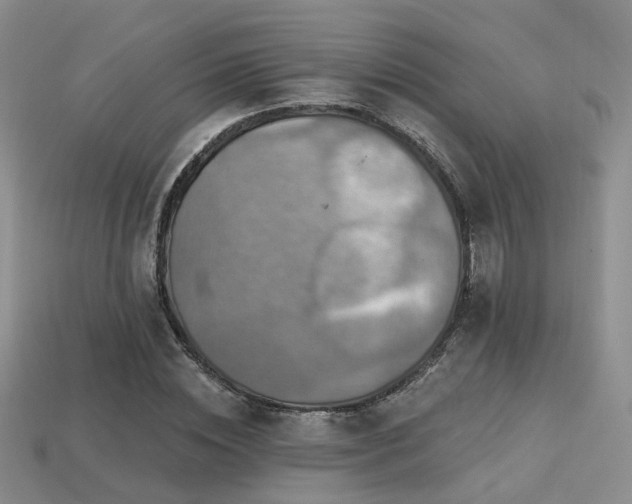 X0000113230828200909101209