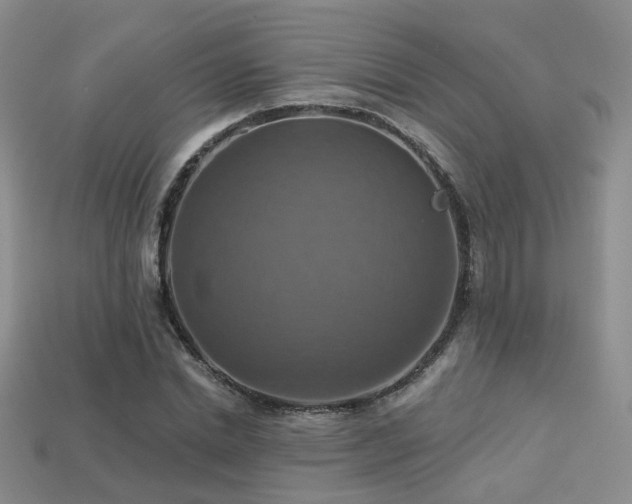 X0000113230830200909101209