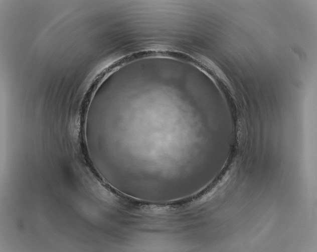X0000113230831200909101209