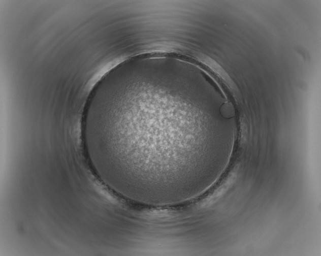 X0000113230834200909101209