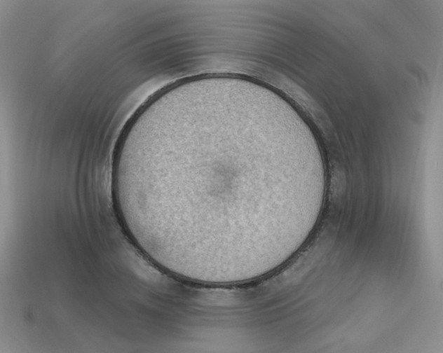 X0000113230836200909101209