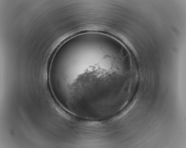 X0000113230837200909101209