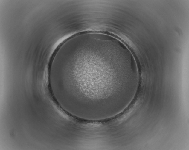 X0000113230838200909101209