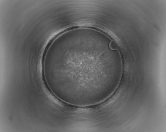 X0000113230840200909101209