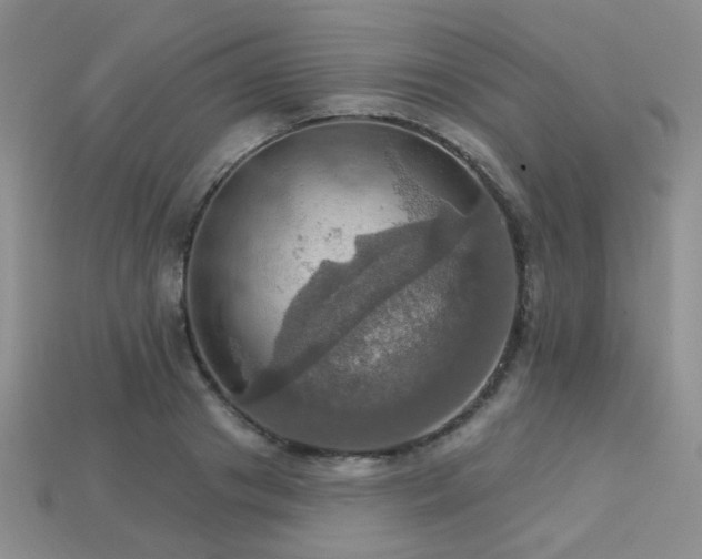 X0000113230841200909101209