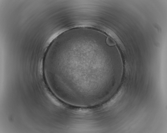X0000113230842200909101209