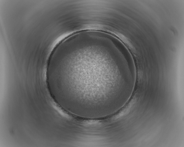 X0000113230846200909101209
