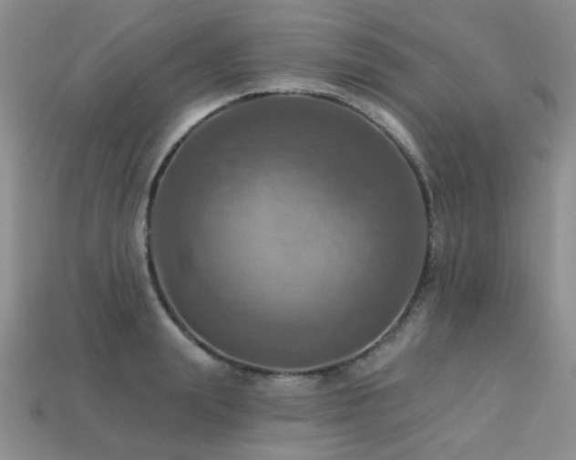 X0000113230847200909101209