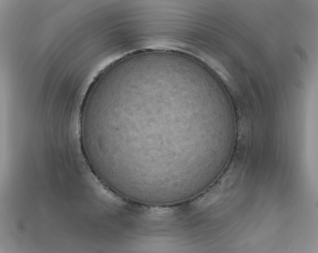 X0000113230848200909101209