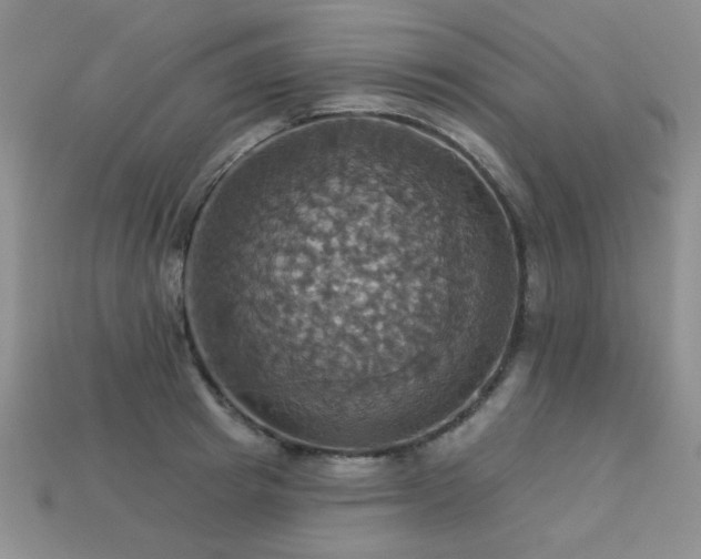 X0000113230849200909101209