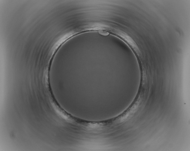 X0000113230850200909101209