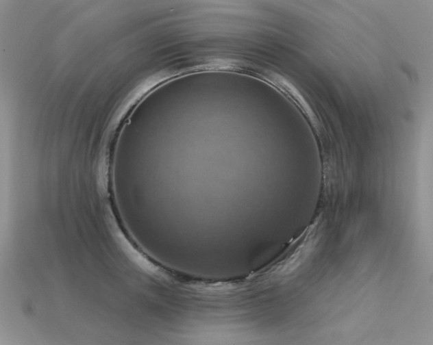 X0000113230851200909101209