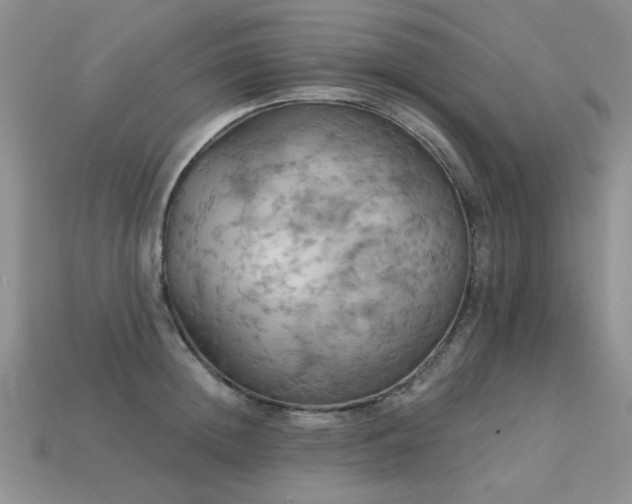 X0000113230852200909101209