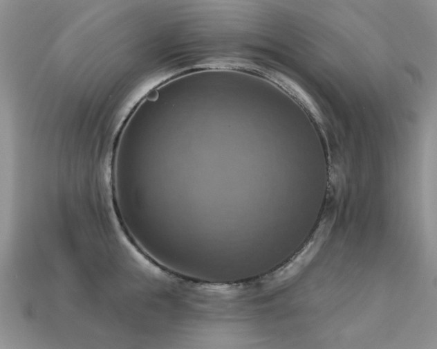 X0000113230855200909101209