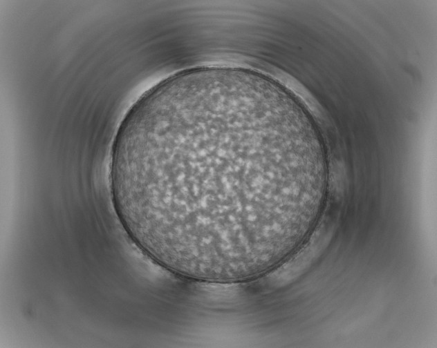 X0000113230856200909101209