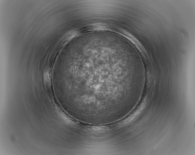 X0000113230857200909101209
