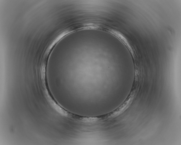 X0000113230859200909101209