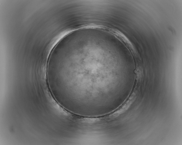 X0000113230860200909101209