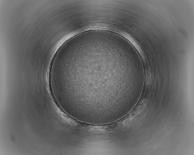 X0000113230861200909101209