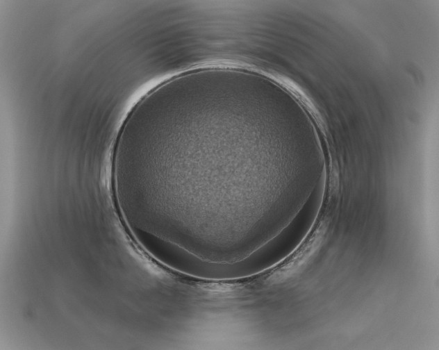 X0000113230862200909101209