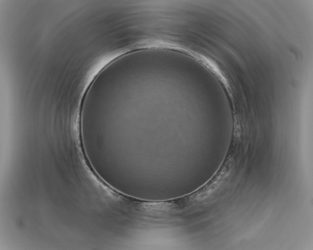 X0000113230863200909101210