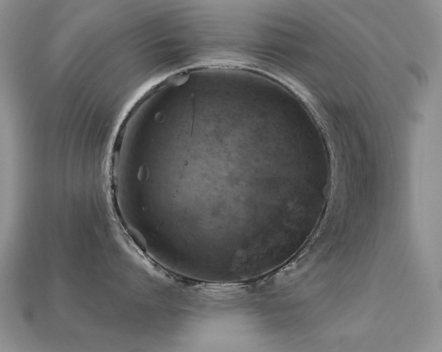 X0000113230864200909101210