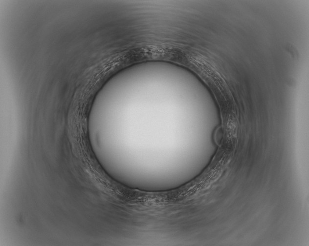 X0000113230865200909101209