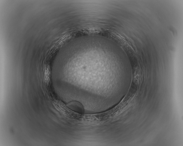 X0000113230866200909101209