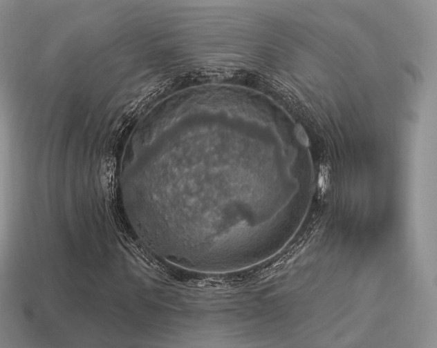 X0000113230867200909101209