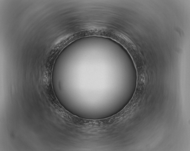 X0000113230869200909101209