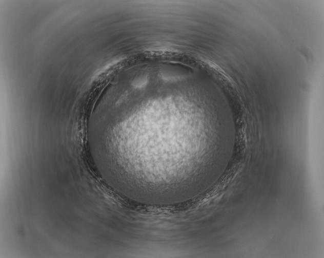 X0000113230870200909101209