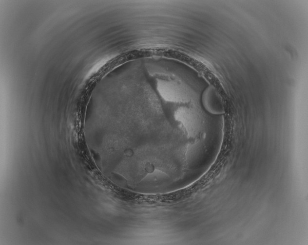 X0000113230871200909101209