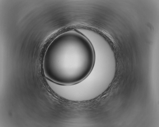 X0000113230872200909101209