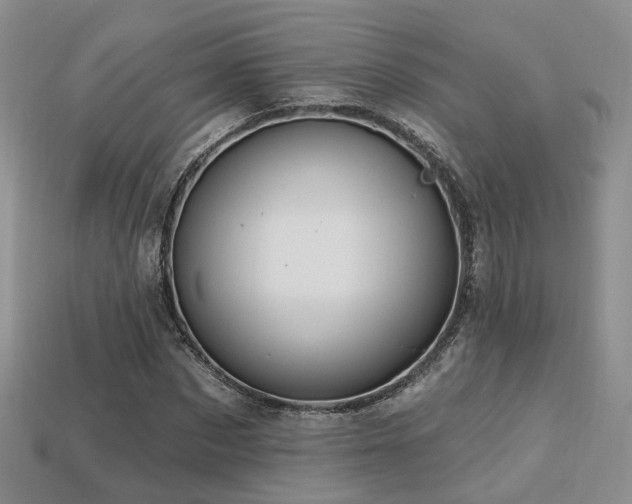 X0000113230873200909101209