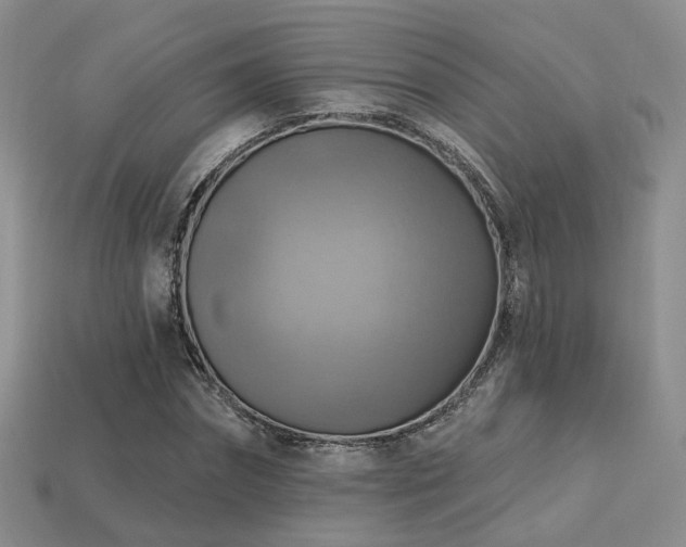 X0000113230874200909101209