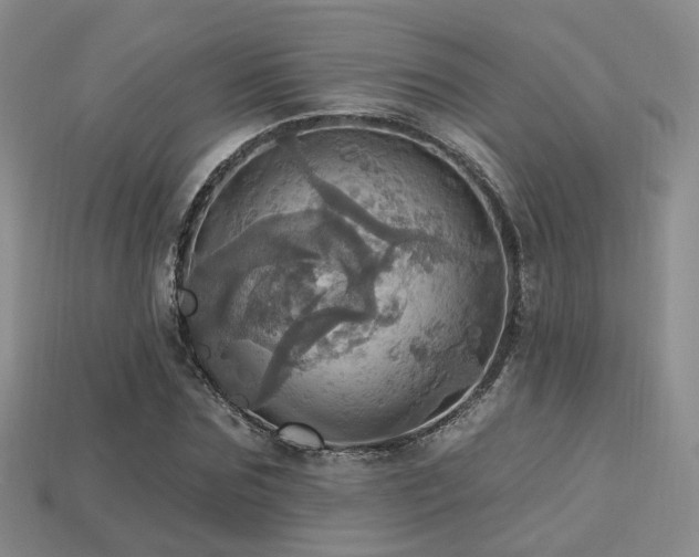X0000113230875200909101209