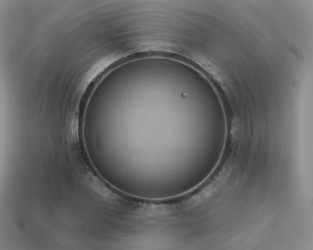 X0000113230877200909101209
