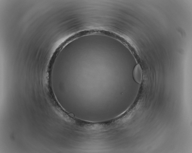 X0000113230879200909101209