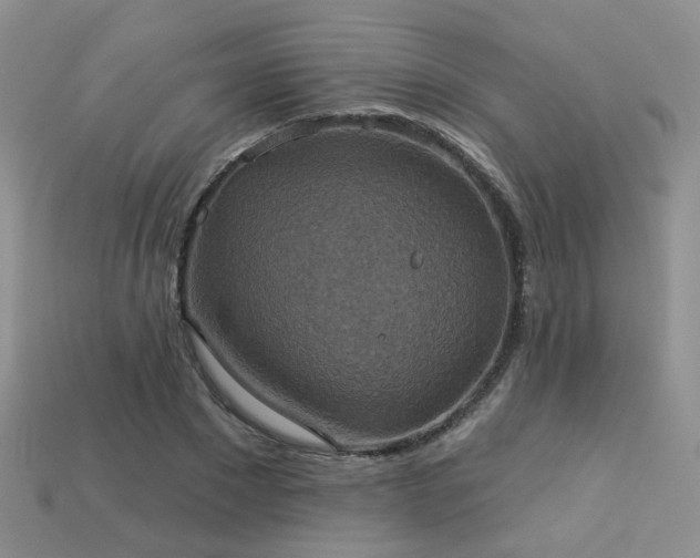 X0000113230881200909101209