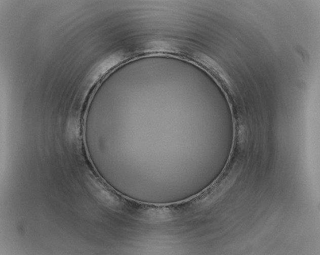X0000113230882200909101209