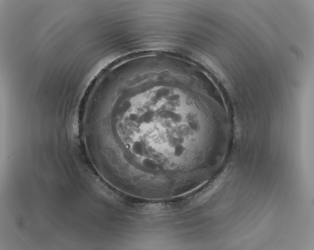 X0000113230883200909101209