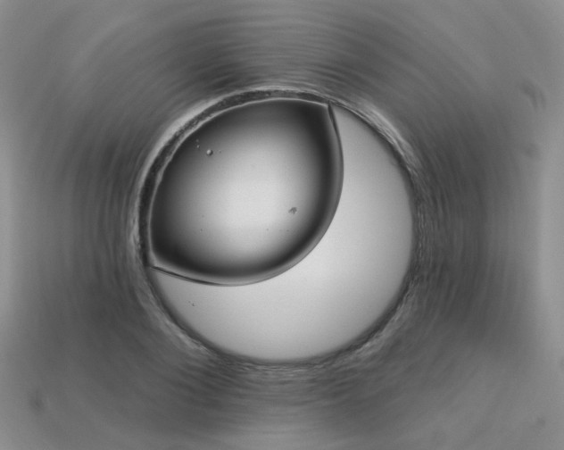 X0000113230884200909101209