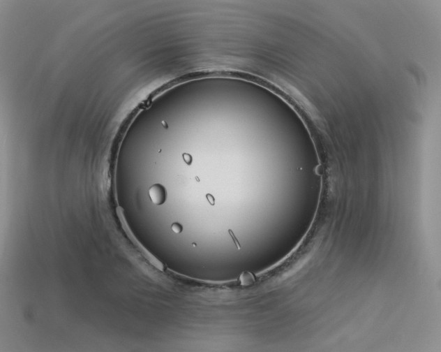 X0000113230885200909101209